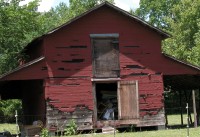 Carolina Shed 2004/05/14 #142