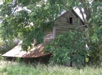 Carolina Shed 2004/05/14 #149