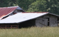 Carolina Shed 2004/05/14 #152