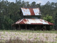 Carolina Shed 2004/05/14 #156