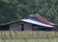 Carolina Shed 2004/05/14 #159