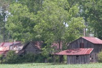 Carolina Shed 2004/05/14 #160