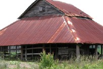 Carolina Shed 2004/05/14 #168