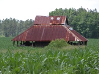 Carolina Shed 2004/05/14 #171