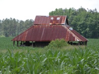 Carolina Shed 2004/05/14 #171