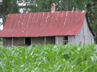 Carolina Shed 2004/05/14 #174