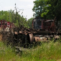 Overgrown Truck