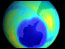 ozone globe 2001