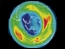 ozone globe 2005